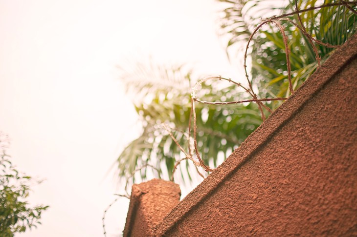 palm trees and razor wire